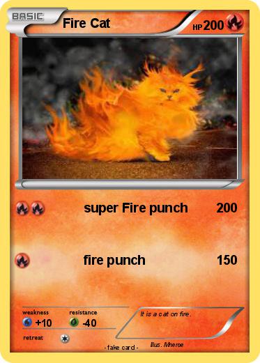 Pokemon Fire Cat
