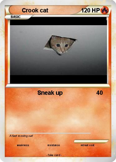 Pokemon Crook cat