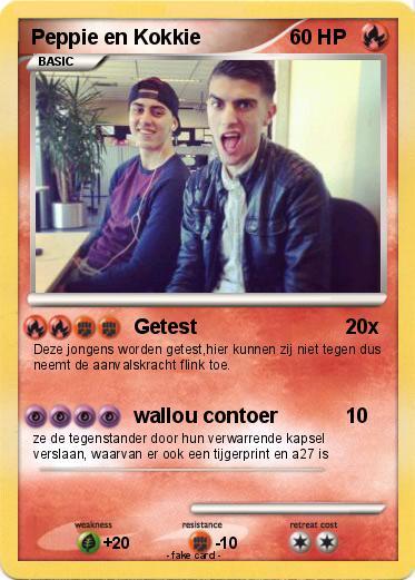 Pokemon Peppie en Kokkie
