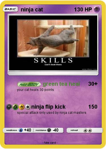 Pokemon ninja cat