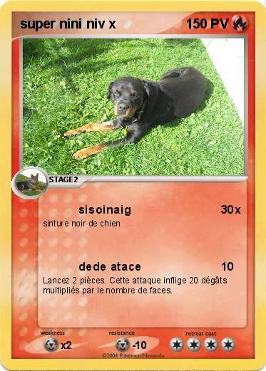 Pokemon super nini niv x