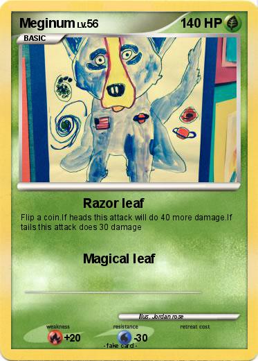 Pokemon Meginum