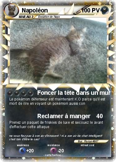 Pokemon Napoléon