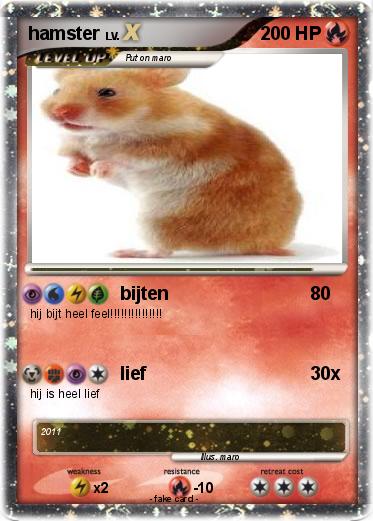 Pokemon hamster