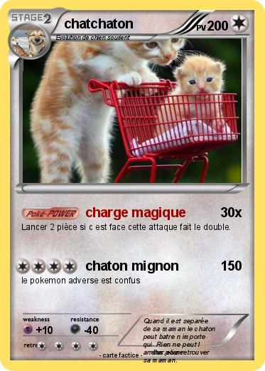 Pokemon chatchaton
