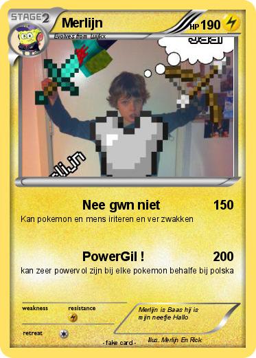 Pokemon Merlijn