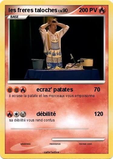 Pokemon les freres taloches