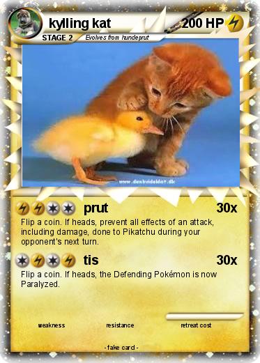 Pokemon kylling kat