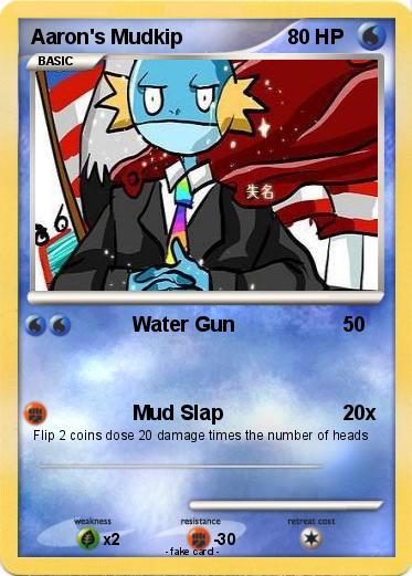 Pokemon Aaron's Mudkip