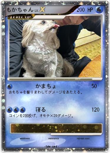 Pokemon もかちゃん
