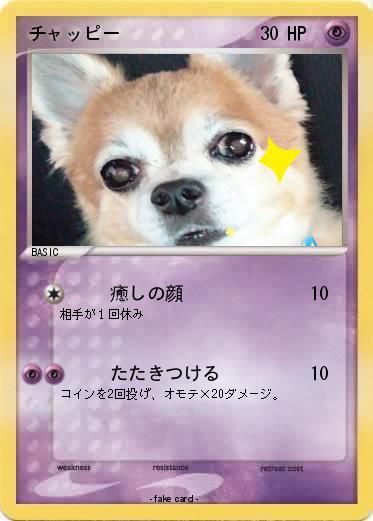 Pokemon チャッピー