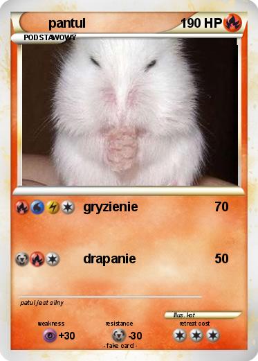 Pokemon pantul