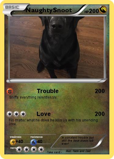 Pokemon NaughtySnoot