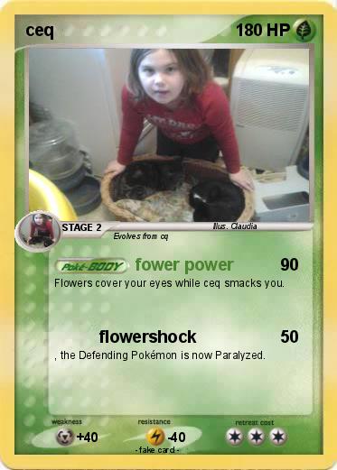 Pokemon ceq