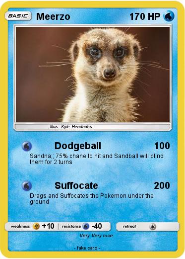 Pokemon Meerzo