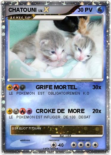 Pokemon CHATOUNI