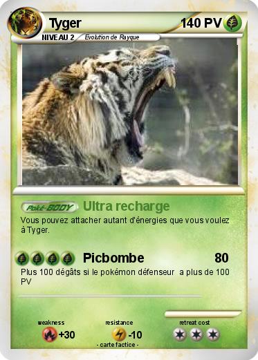 Pokemon Tyger