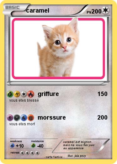 Pokemon caramel