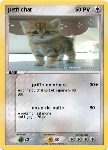 Pokemon petit chat