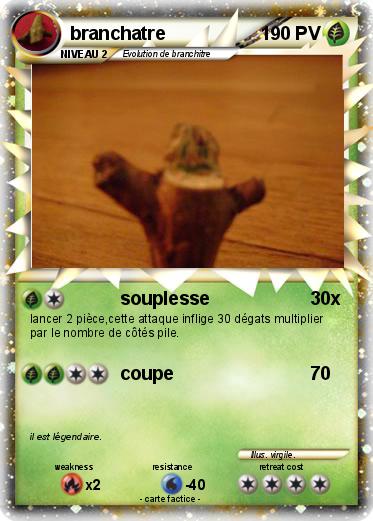 Pokemon branchatre