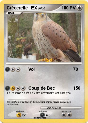 Pokemon Crécerelle   EX