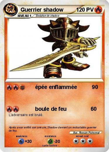Pokemon Guerrier shadow