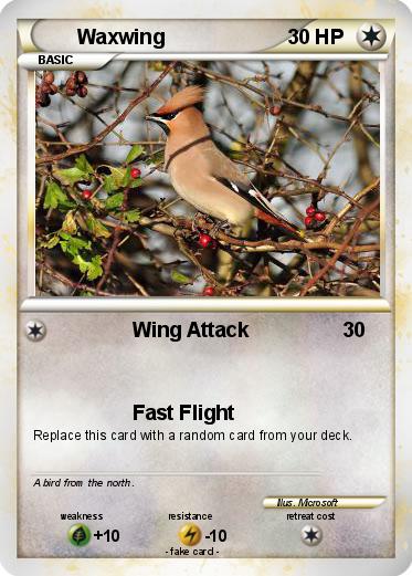 Pokemon Waxwing