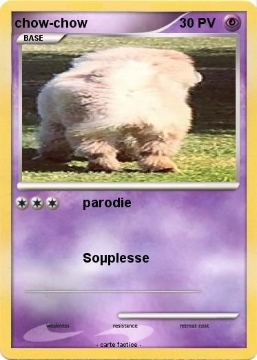 Pokemon chow-chow
