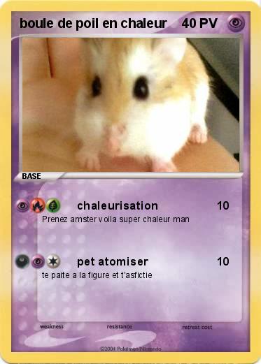 Pokemon boule de poil en chaleur
