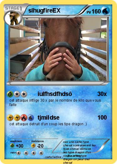 Pokemon slhugfireEX
