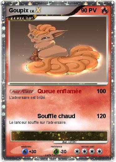 Pokemon Goupix