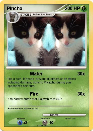 Pokemon Pincho