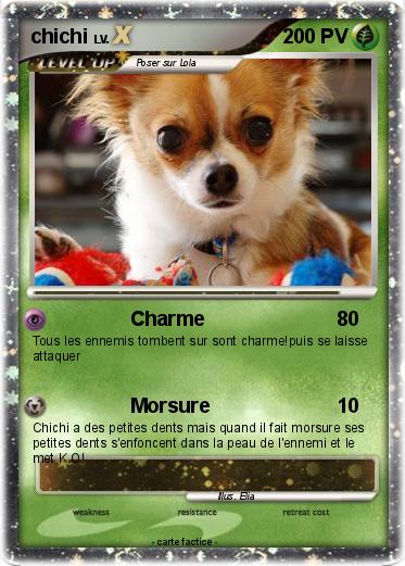Pokemon chichi