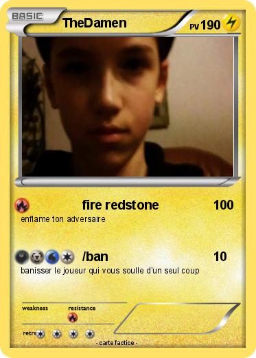 Pokemon TheDamen