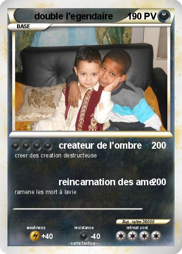 Pokemon double l'egendaire