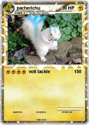 Pokemon pacherichu