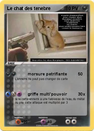 Pokemon Le chat des tenebre