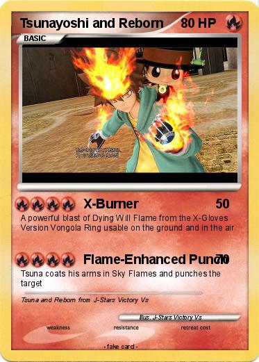 Pokemon Tsunayoshi and Reborn