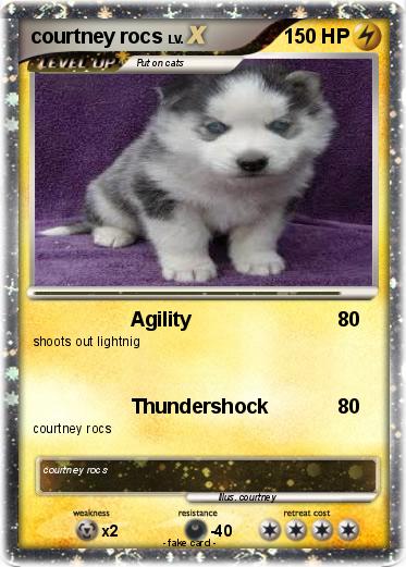 Pokemon courtney rocs