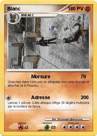 Pokemon Blanc