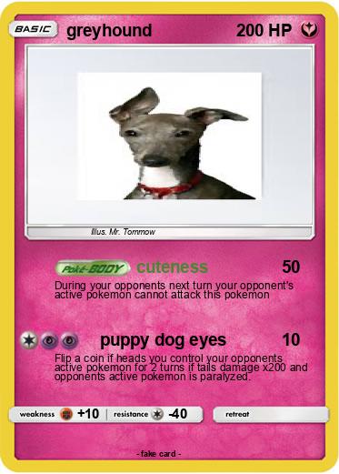 Pokemon greyhound