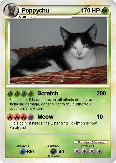 Pokemon Poppychu