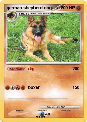 Pokemon german shepherd dog