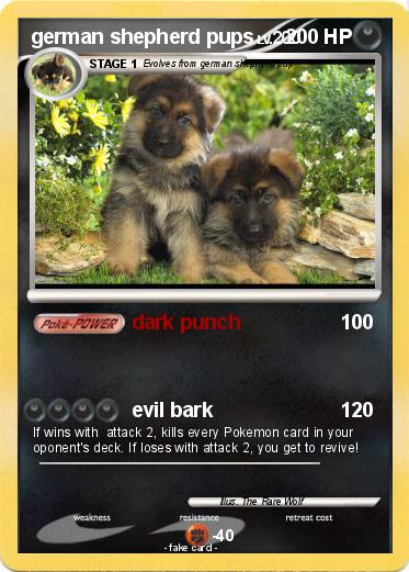 Pokemon german shepherd pups