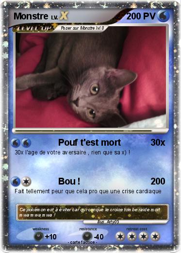 Pokemon Monstre