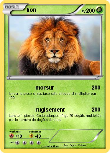 Pokemon lion