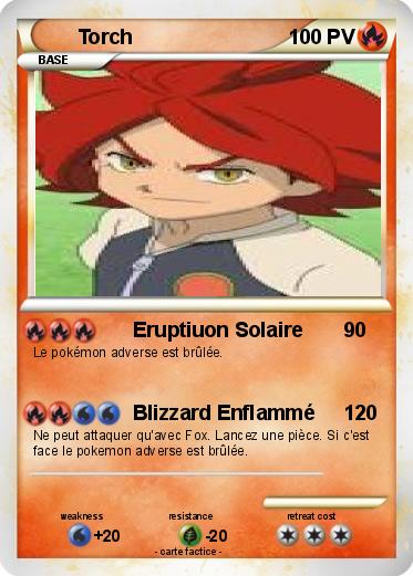 Pokemon Torch