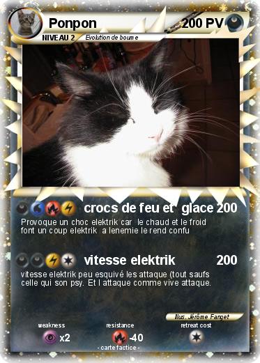 Pokemon Ponpon
