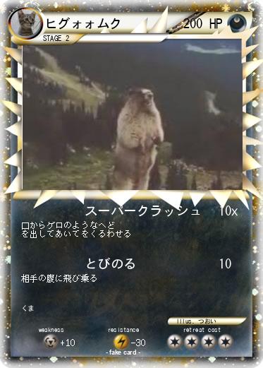 Pokemon ヒグォォムク