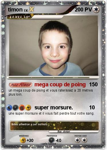 Pokemon timon